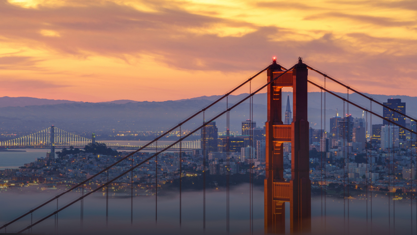 April 2024Daisy Chains and Golden GatesA New Eco-Tech Sweeps San Francisco