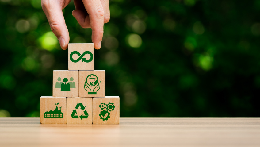 The Sustainable ShiftHow Circular Thinking Is Reshaping Industry