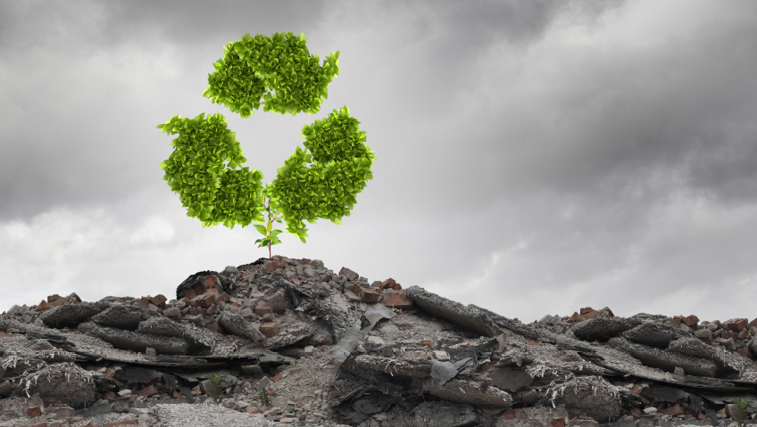 GreenwashingThe Illusion of Sustainability Claims