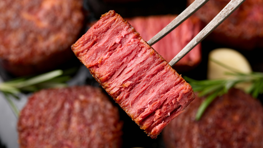 Brewing the Future of ProteinHow Precision Fermentation is Redefining Animal-free Food